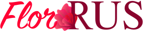 Доставка цветов Ровное 
